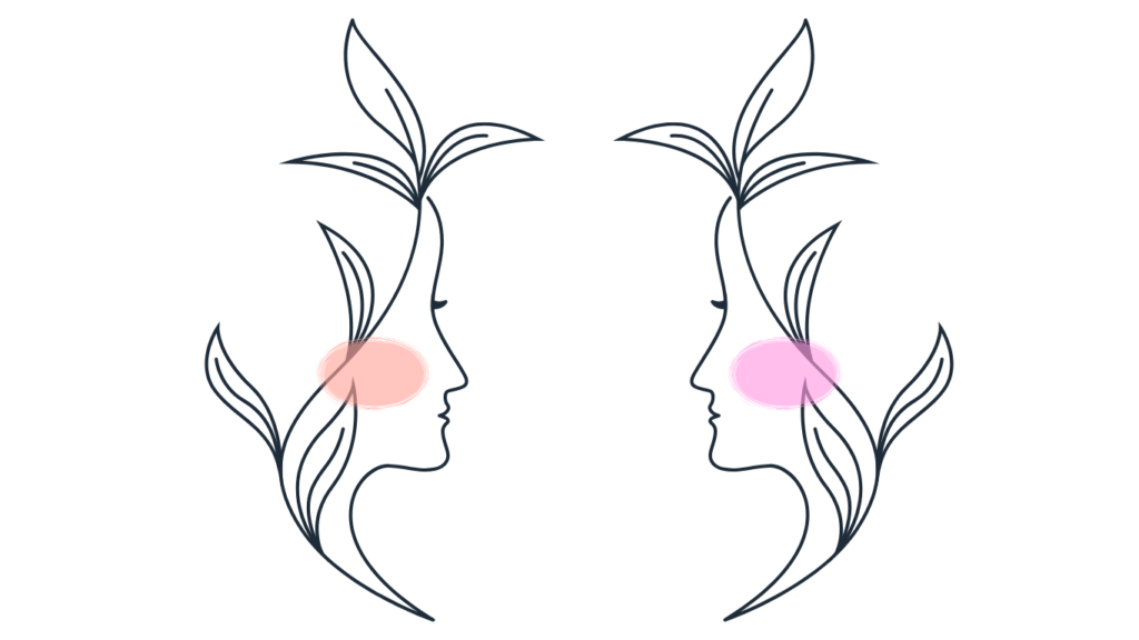 クリームチーク