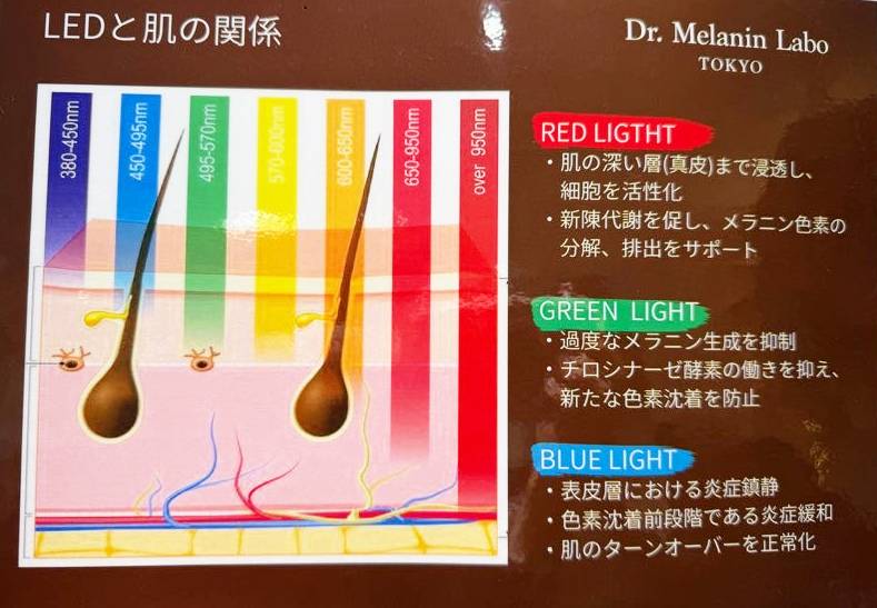 Dr. Melanin Laboの説明資料