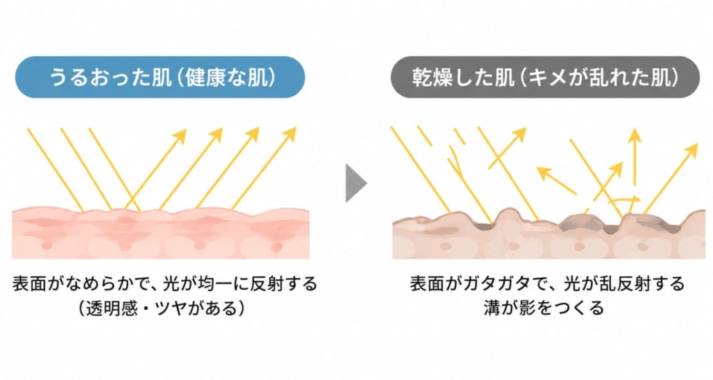 透明感がある肌とそうでない肌の違い