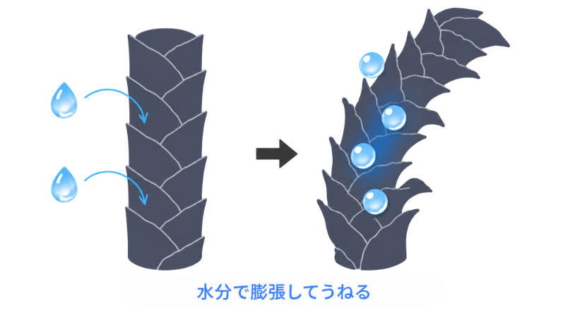 雨の日水分で膨張した髪の毛